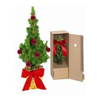 ALBERO DI NATALE